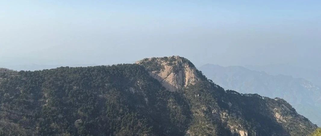 四月同行 · 山东五日小记